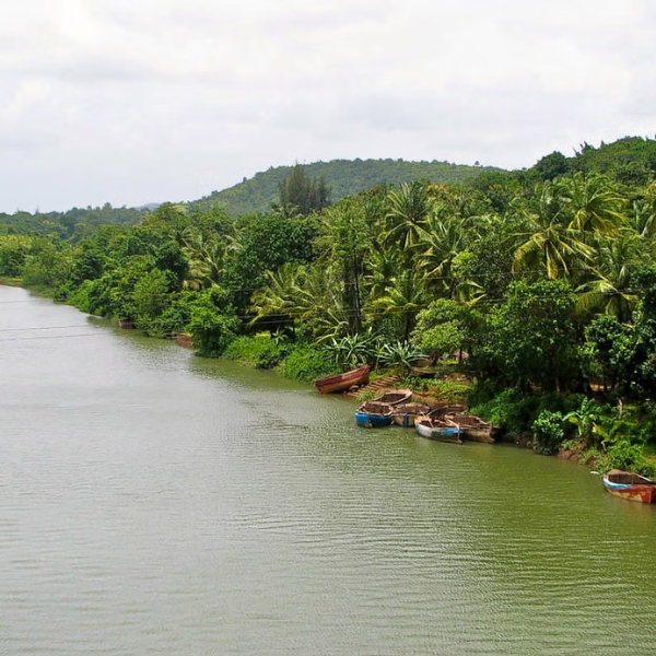 Karli Backwater View