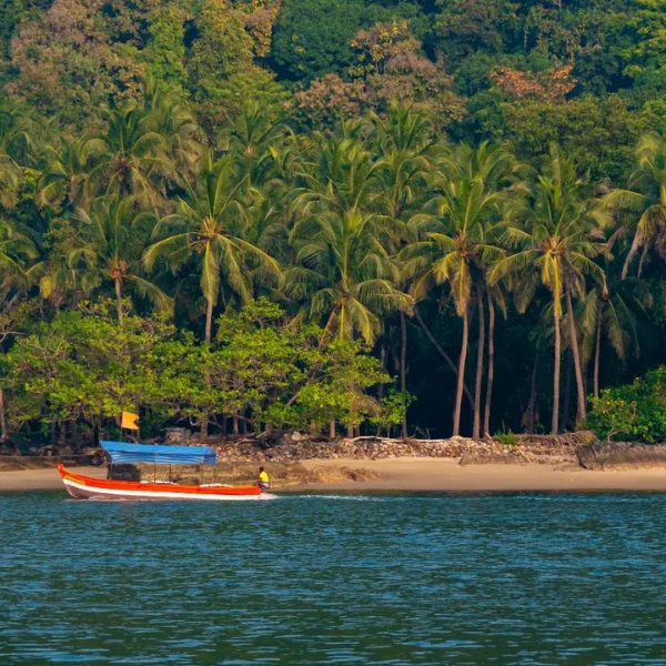 Karli Backwater View3