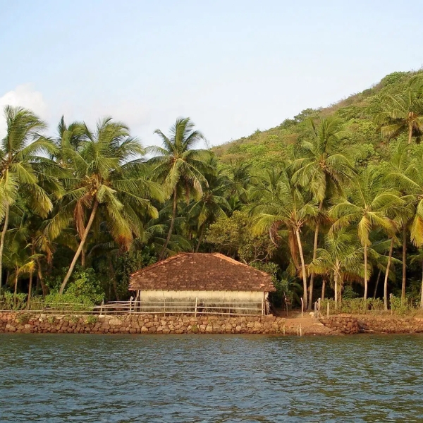 Karli Backwaters